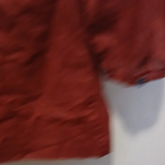 Banana Republic Rust Blouse - Picture 7 of 10